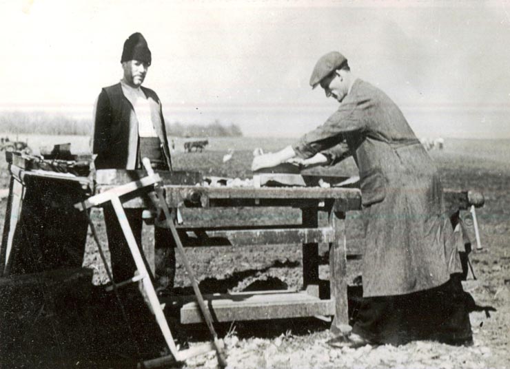 Fotografie: Muncitori reparând uneltele ţăranilor direct pe tarlale, ajutându-i în campania agricolă de însămânţări.(1946)