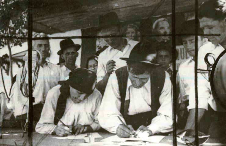 Semnarea cererilor de constituire a primelor gospodării colective la Slobozia, Mândra, Raion în Măgurele.(1949)