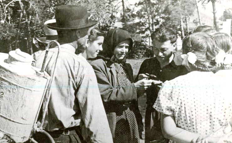 Membri cooperativei agricole de producţie ”Steagul lui Lenin” din Păuleşti, Baia Mare – în timpul lucrărilor legumicole.(1950)