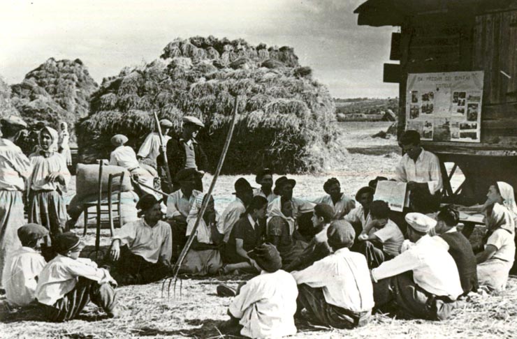 Fotografie: Cititul ziarului în colectiv la arie, organizat de căminul cultural din Livezeni, Regiunea Dolj.(1950)