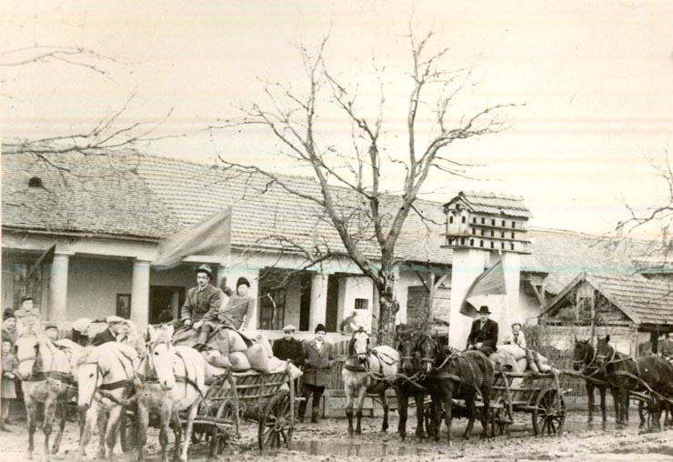 Fotografie: Colectiviştii din G.A.C. ”7 Noiembrie” (Bihor) ducându-şi acasă roadele după împărţirea veniturilor,1952.(1952)