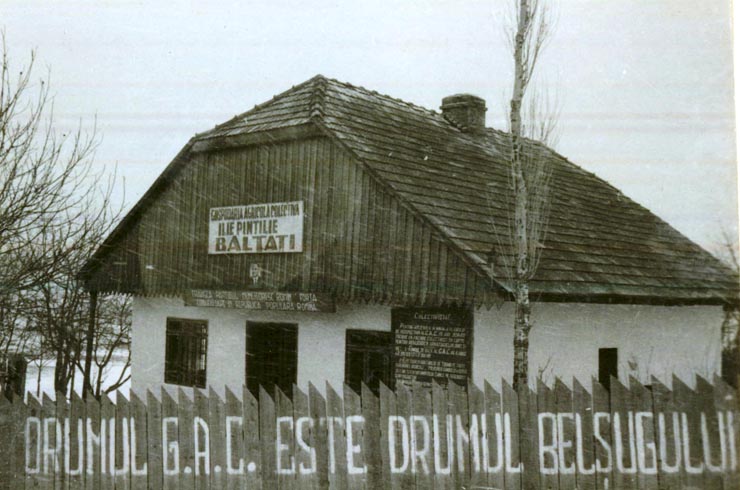 Cooperativa agricolă de Producţie ”Ilie Pintilie” din comuna Bălţaţi.(1955-1959)