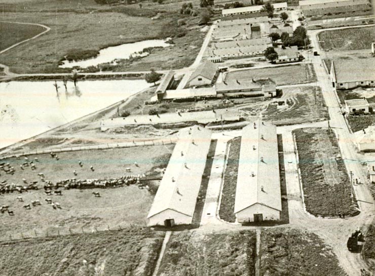 Intreprinderea agricolă de Stat Piatra-Olt.(1970)