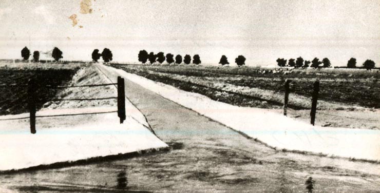 Irigări la C.A.P. Mănăstirea, judeţul Ilfov.(1970)
