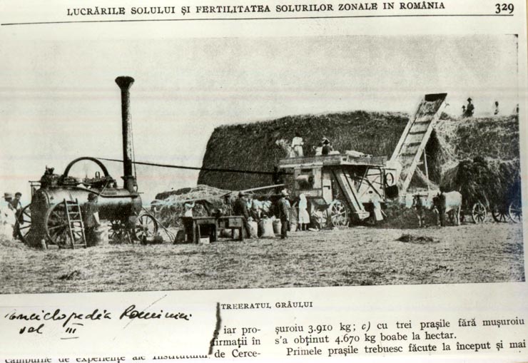 Treieratul grâului.(f.a.)