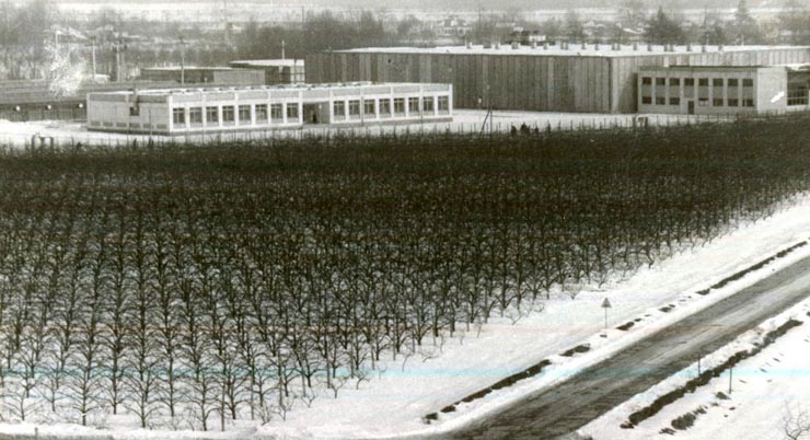 Imagine de la Institutul de cercetări şi producţie pomicolă din Piteşti.(f.a.)