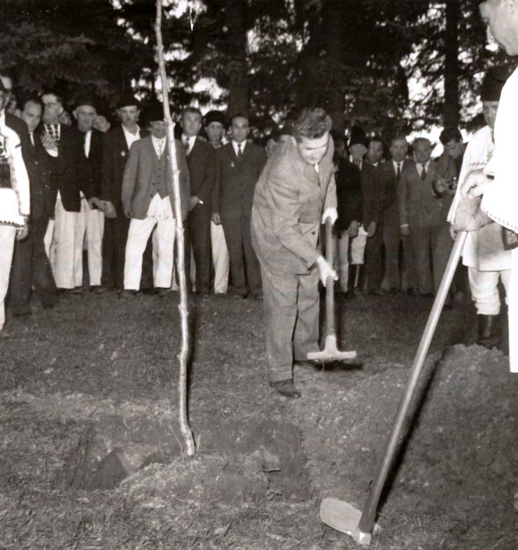 Vizita conducătorilor de partid şi de stat în regiunea Hunedoara (Ţebea – gorunul lui Avram Iancu) . (7-8 X 1966)