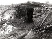 Locuinţă de miner din Valea Jiului (Un bordei săpat în munte) (1944 noiembrie 24).