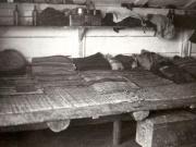 Barăcile unde au dormit muncitorii concentraţi la minele din Valea Jiului vizitate de către Gheorghe Gheorghiu-Dej (1944 noiembrie 24).