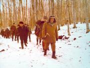 Vanatori 1981