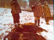 Vanatori 1981