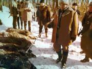 Vanatori 1981
