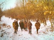 Vanatori 1981