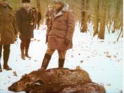 Vanatori 1981