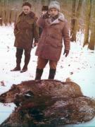 Vanatori 1981