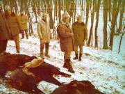 Vanatori 1981