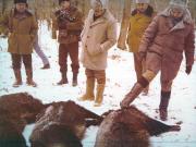 Vanatori 1981