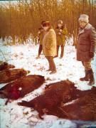 Vanatori 1981