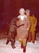 Vanatori 1981