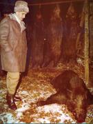 Vanatori 1981