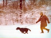 Vanatori 1981