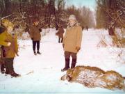 Vanatori 1981
