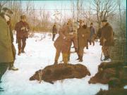 Vanatori 1981