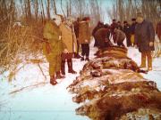 Vanatori 1981