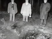 Vanatori 1981