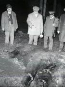 Vanatori 1981