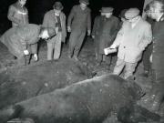 Vanatori 1981