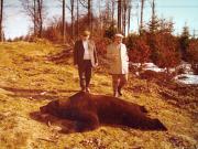 Vanatori 1981