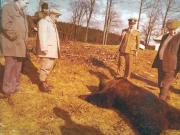 Vanatori 1981