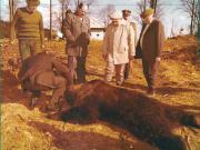 Vanatori 1981