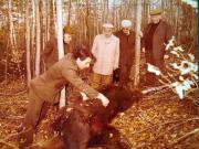Vanatori 1981