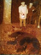 Vanatori 1981