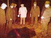 Vanatori 1981