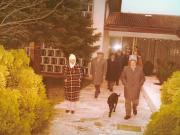 Vanatori 1981