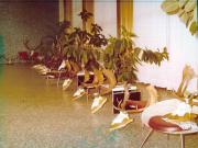 Vanatori 1981