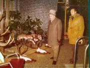Vanatori 1981