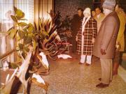 Vanatori 1981