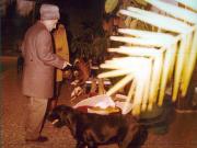 Vanatori 1981