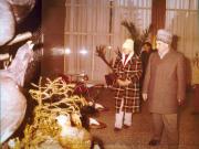 Vanatori 1981
