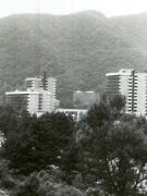 Complexul hotelier ”Cozia” de pe Valea Oltului.(1983)