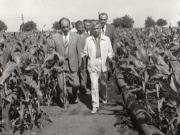 Vizita de lucru a lui Nicolae Ceauşescu într-una din fermele cultivate cu porumb ale I.A.S. Amzacea, jud. Constanţa. (20.VI.1979).