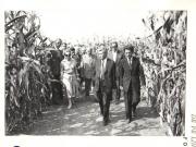 Vizita de lucru a preşedintelui Nicolae Ceauşescu şi a Elenei Ceauşescu  în judeţul Timiş. Printre creatorii noilor hibrizi de porumb de la staţiunea experimentală agricolă Lovrin.  (14-15.IX.1979).