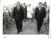 Cu prilejul vizitei întreprinse în localitatea Scorniceşti, preşedintele Nicolae Ceauşescu analizează rezultatele la cultura porumbului. (22.IX.1979).