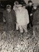 Vizita de lucru a lui Nicolae Ceauşescu în judeţul Argeş, unde a examinat măsurile luate pentru strângerea grabnică a recoltei; la Leordeni. (19 octombrie 1976)