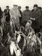 Vizita de lucru a lui Nicolae Ceauşescu în judeţul Olt, unde a examinat măsurile luate pentru strângerea grabnică a recoltei; la Văleni. (19 octombrie 1976)