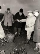 Vizita de lucru a lui Nicolae Ceauşescu în judeţul Teleorman. La Drăgăneşti-Vlaşca. (19 octombrie 1976)